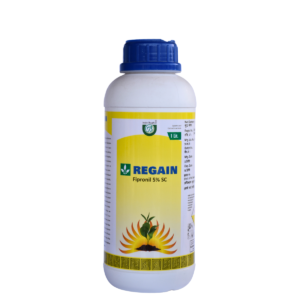 REGAIN - Image 1