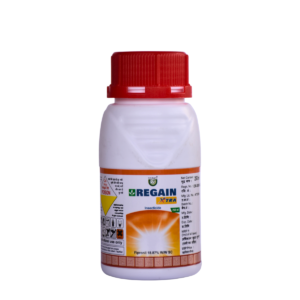 REGAIN  XTRA - Image 1