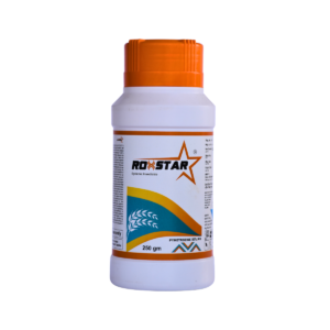 ROXSTAR - Image 1